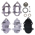 Mercury fuel pump kit