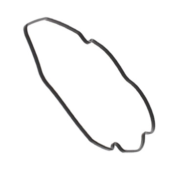 Suzuki VST seal