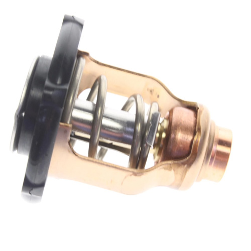 Yamaha Thermostat