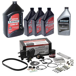 V8 CMS 300Hr Kit