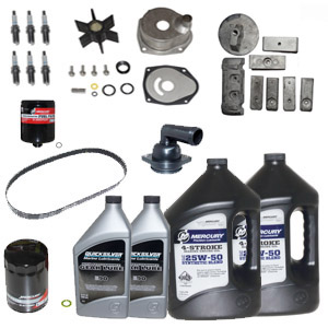Mercury L6 300 Hour Kit